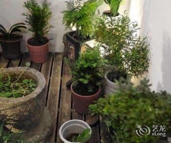 Yang'Er Shay Hotel Tongli Xinzhen Street Eksteriør billede